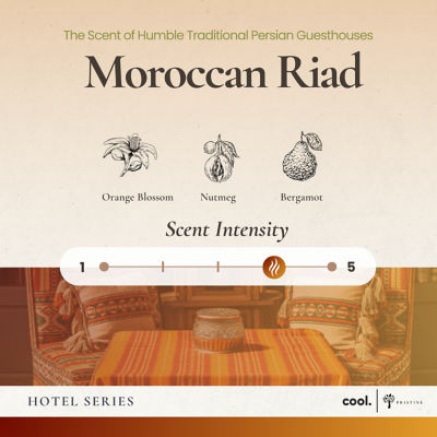 Pristine Moroccan Riad Reed Diffuser 180ml 2