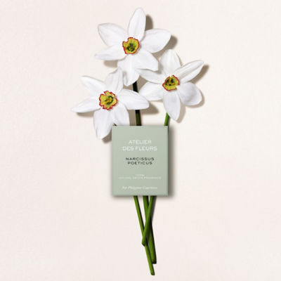 Buy CHLOE Atelier des Fleurs Narcissus Poeticus Eau de Parfum