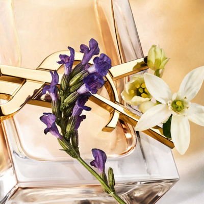 Buy YVES SAINT LAURENT Libre 2Pcs Gift Set (Ysl Libre EDP 90ml +