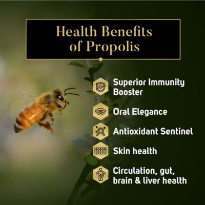 MANUKA SOUTH [Bundle of 2] Manuka Honey and Propolis Oral Spray (UMF15+) 5