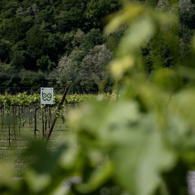 Villa Sandi Asolo Superiore DOCG Prosecco 6