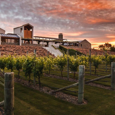 Wither Hills Marlborough Sauvignon Blanc 6