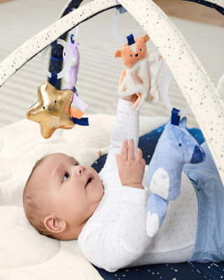 Skip Hop Celestial Dreams Activity Gym 4