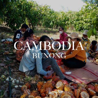 Lemuel Chocolate 70% Dark Chocolate - Cambodia, Bunong 4