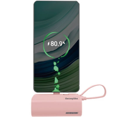 thecoopidea TAILY 双输出 5,000mAh 移动电源 3