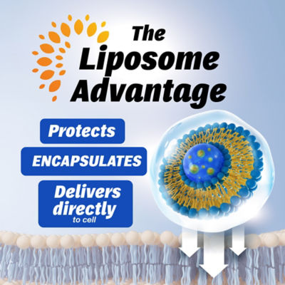 LABO Nutrition Liposomal Vitamin D3 240s 4