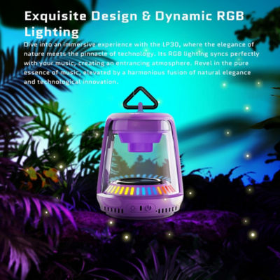 Nakamichi LP30 RGB Bluetooth Portable Speaker 2