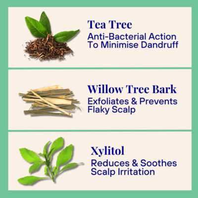 The Powder Shampoo Exfoliating Shampoo For Loose Dandruff Flakes Tea Tree & Salicylic Acid 70g / 2.47oz 5