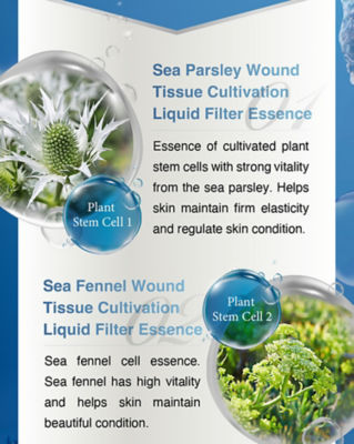 AXXZIA Beauty Force Treatment Mask AG 7pcs 10