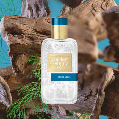 Buy ATELIER COLOGNE Absolue Eau de Parfum Cedre Atlas Online in