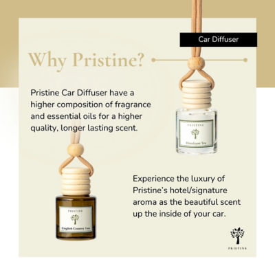 Pristine Himalayan Tea Car Diffuser 7