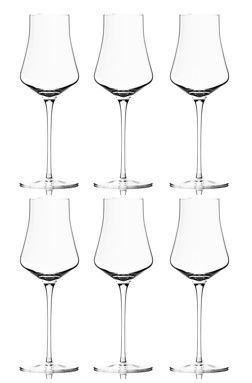 SKLO [Bundle of 6] Kvetna 1794 Auriga Spirits Glass 170ml 1