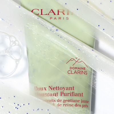 Buy CLARINS Purifying Gentle Foaming Cleanser (Combination To Oily Skin)  Online in Singapore | iShopChangi