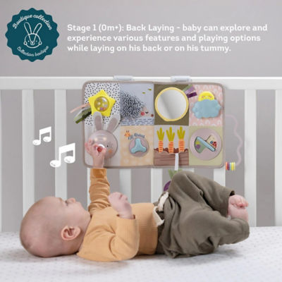 Taf Toys Developmental Activity Center 3
