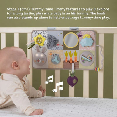 Taf Toys Developmental Activity Center 4