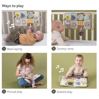 Taf Toys Developmental Activity Center 5