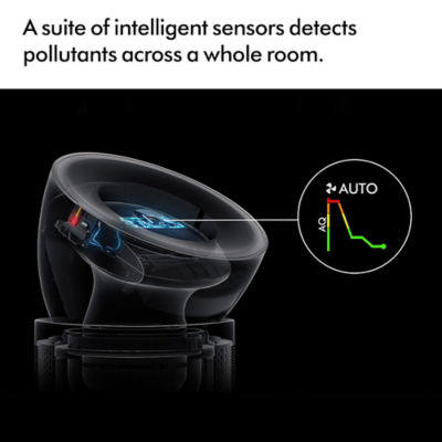Dyson Purifier Big+Quiet Formaldehyde 6
