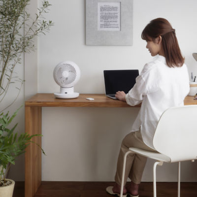 Iris Ohyama Circulator Fan, DC Motor 4