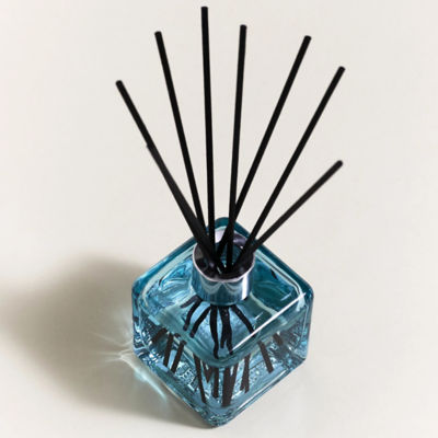 Maison Berger Paris Anti Odour My Bathroom Free from Unpleasant Smells Scented Bouquet 4