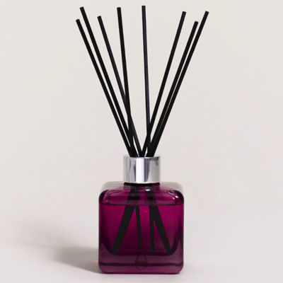 Maison Berger Paris Anti Odour For Home Free From Musty Smells 2