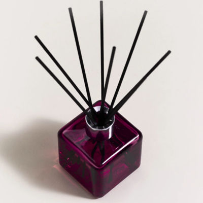 Maison Berger Paris Anti Odour For Home Free From Musty Smells 3