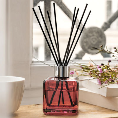 Maison Berger Paris Anti Odour For Home Free From Musty Smells 4