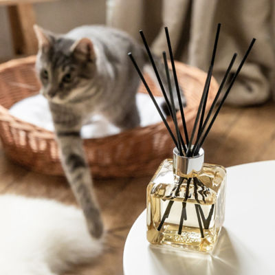 Maison Berger Paris Anti-Odour Pets 1 (Fruity & Floral) Reed Diffuser 3
