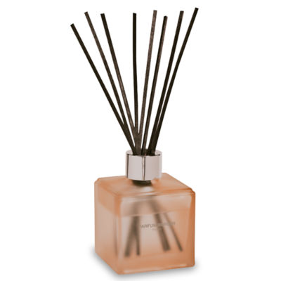 Maison Berger Paris Anti-Odour Pets 2 (Floral & Zesty) Reed Diffuser 2