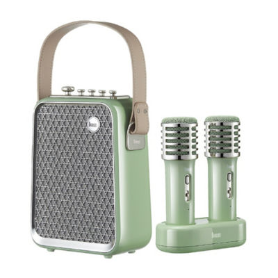 Divoom SongBird-HQ2 50W Dual Mic Karaoke & Bluetooth Speaker 3