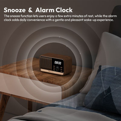 Nakamichi NMFMSPKC80 FM Clock Speaker 2