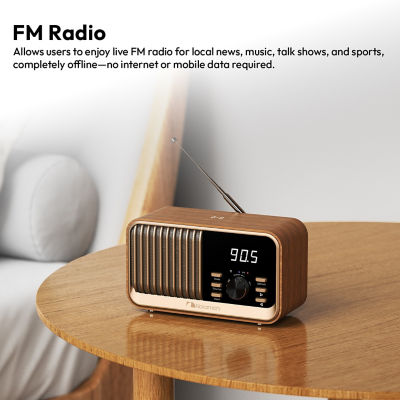 Nakamichi NMFMSPKC80 FM Clock Speaker 5