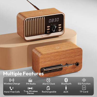 Nakamichi NMFMSPKC80 FM Clock Speaker 9