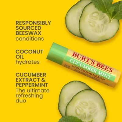 Burt's Bees Cucumber Mint Moisturizing Lip Balm 4.25g 4