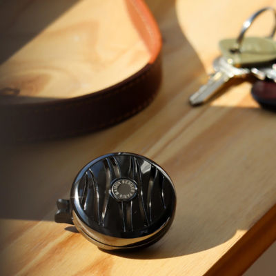 Maison Berger Paris Amber Powder Holly Car Diffuser 2