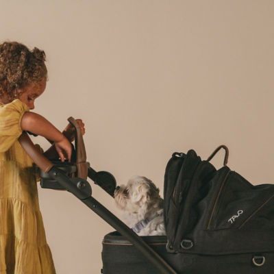 Tavo Maeve 5X Pet Car Seat + ISOFIX Base 6