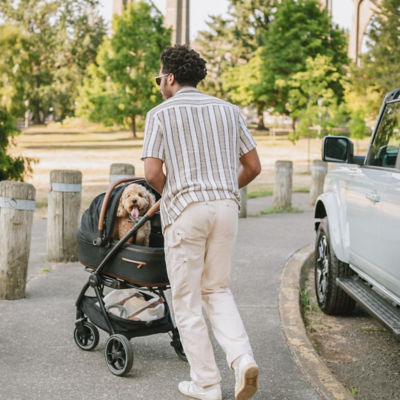Tavo Roscoe Pet Stroller Frame for Maeve 7