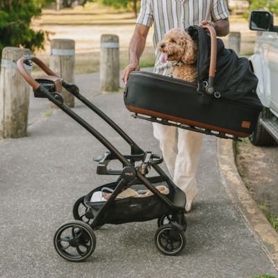 Tavo Roscoe Pet Stroller Frame for Maeve 8