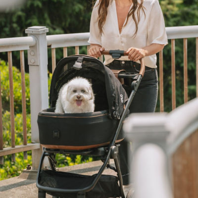Tavo Roscoe Pet Stroller Frame for Maeve 9