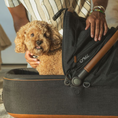 Tavo Maeve 6X Pet Car Seat + ISOFIX Base 6
