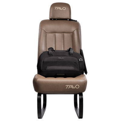 Tavo Dupree II Pet Airline Carrier Pet Car Seat 5