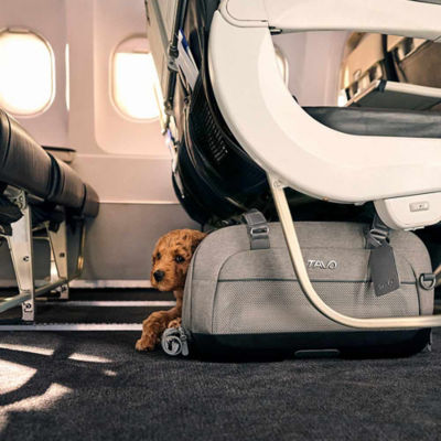 Tavo Dupree II Pet Airline Carrier Pet Car Seat 8