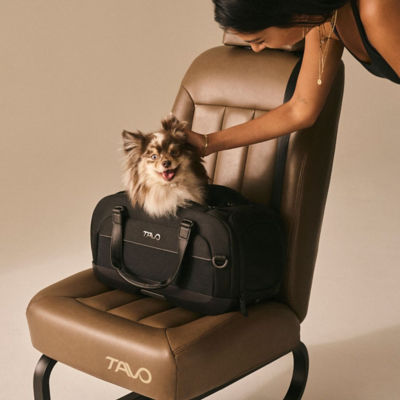 Tavo Dupree II Pet Airline Carrier Pet Car Seat 9
