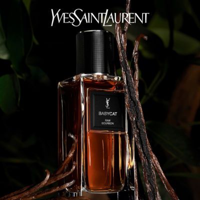 Buy YVES SAINT LAURENT Babycat - Le Vestiaire Des Parfums Online