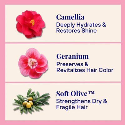 The Powder Shampoo [BUNDLE] 1 x Hydrating Shampoo For Dry and Fragile Hair 20g + 1 x Relaxing Body Foam Wash For All Skin Types 20g 6