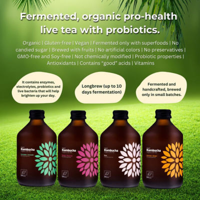 Vigo [BUNDLE OF 4] VIGO KOMBUCHA (ASSORTED 4 FLAVOUR) 2