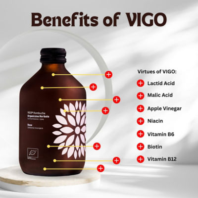 Vigo [BUNDLE OF 4] VIGO KOMBUCHA BIO ACEROLA+GINGER 330ML 10