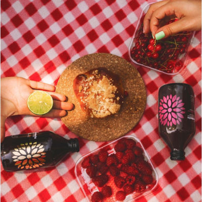 Vigo [BUNDLE OF 4] VIGO KOMBUCHA BIO ACEROLA+GINGER 330ML 7