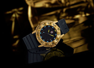 Luminox Foundation Series - 3221.NSF 8