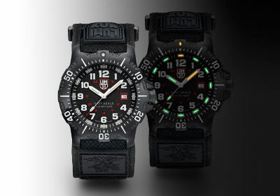 Luminox 4230系列 - 4231.SET 10