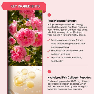 Holistic Way [Bundle of 3] Holistic Way Bio-Elixir 玫瑰胎盘胶原蛋白饮 (每盒 10 液体袋包) 3